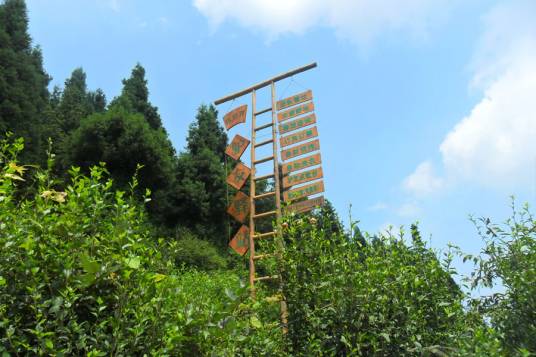 张家界驴友驿站