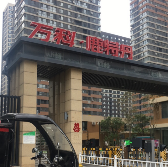 万科鹿特丹（新加坡的楼盘）