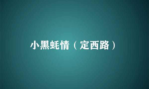 小黑蚝情（定西路）