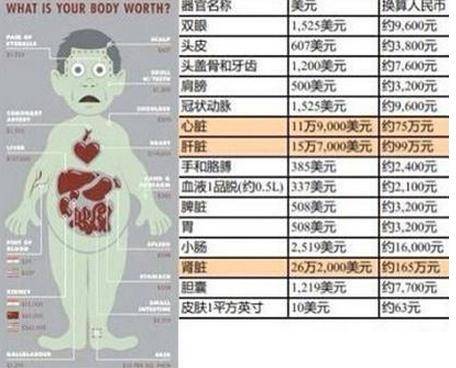 人体器官价位表