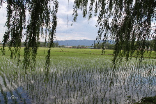 常乐源开心农场
