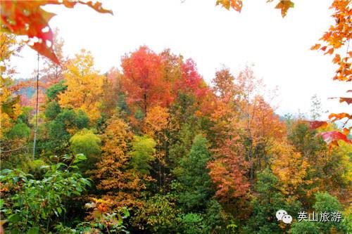 红叶谷（英山红叶谷）