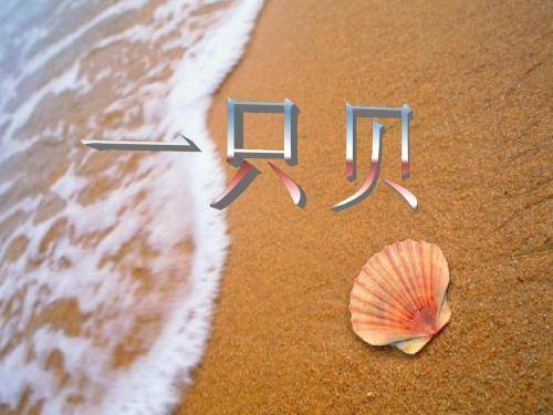 一只贝