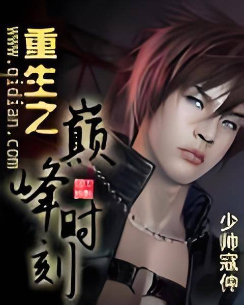 重生之巅峰时刻