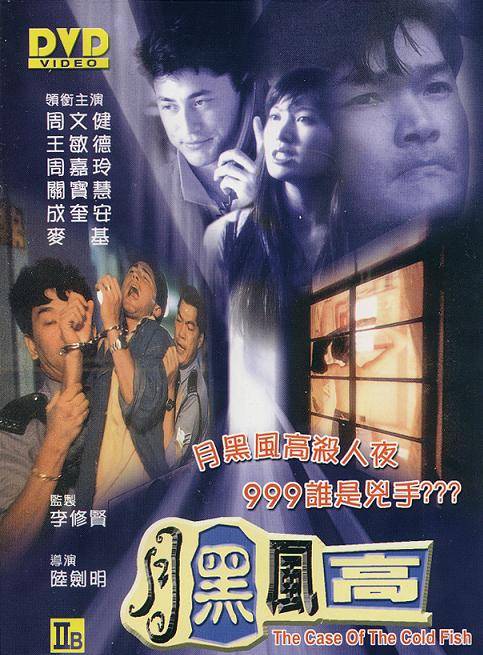月黑风高（1995年陆剑明执导的喜剧电影）