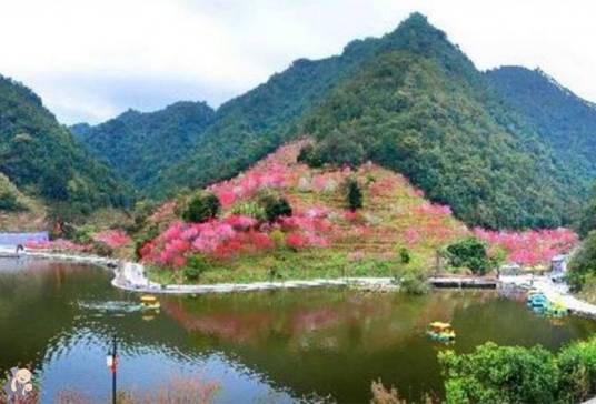 北溪（福建省九龙江的主要支流）