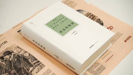 论法的精神（2020年法律出版社出版的图书）