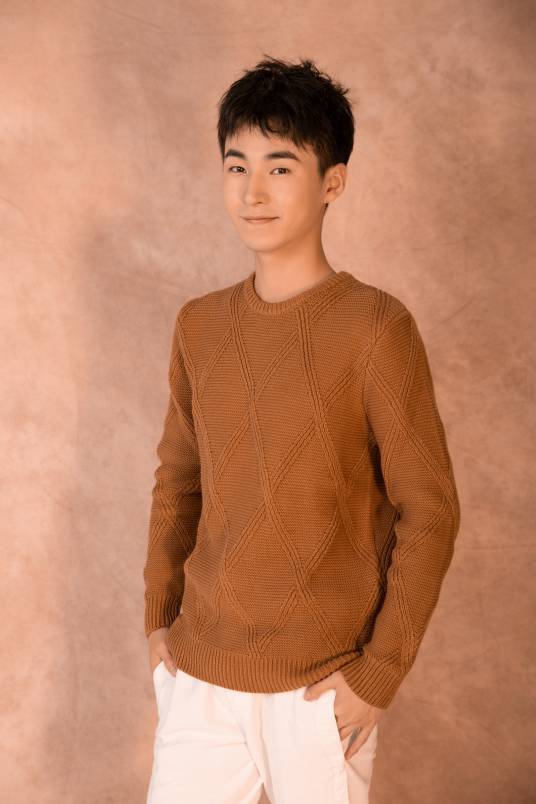 刘磊（安徽籍影视演员）