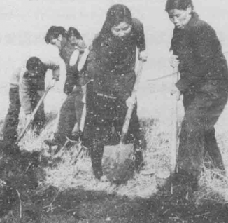 五把铁锹闹革命