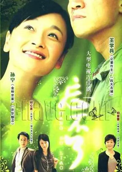 忘不了（高伟执导电视剧）