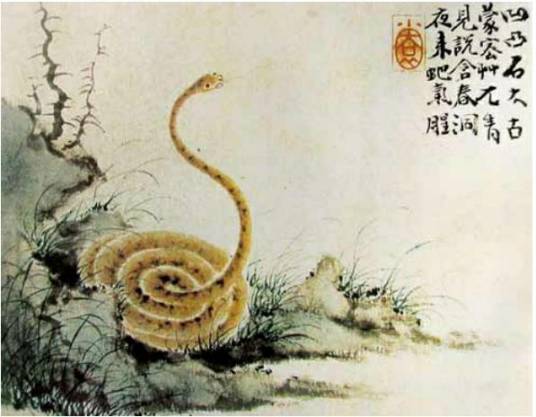 画蛇（树下野狐编写的奇幻仙侠类小说）