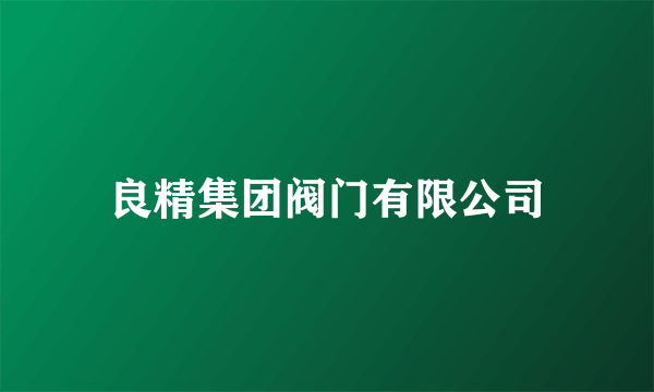 良精集团阀门有限公司