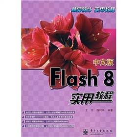 Flash 8 中文版实用教程