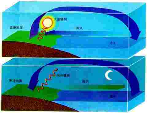海陆风（近海和海岸地区的，具有日周期的地方性风）