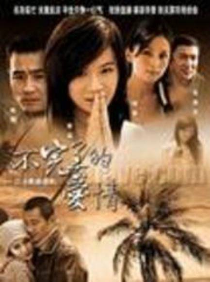 别忘了回家（2006年汪涛执导的电视剧）