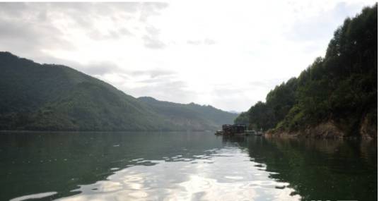 广西贺江水体污染事件