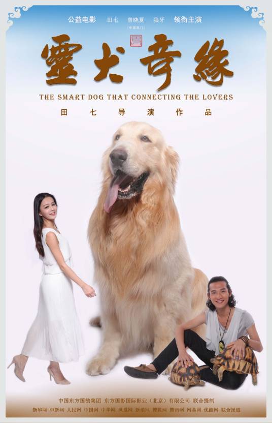 灵犬奇缘（田七执导电影）