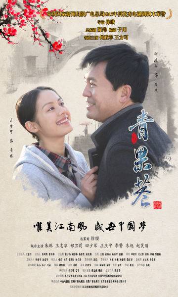青果巷（2014年何政军、王力可主演的电视剧）