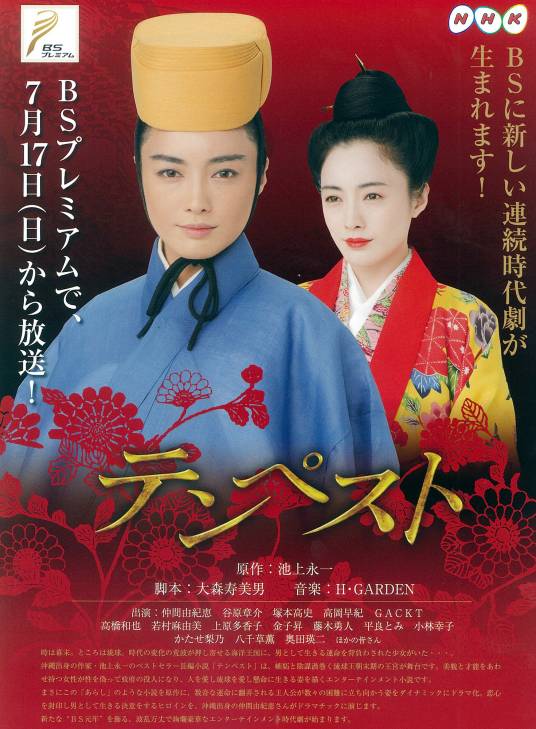 暴风雨（日本2011年吉村芳之执导的古装剧）