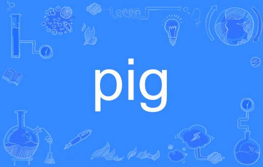 pig（英语单词）