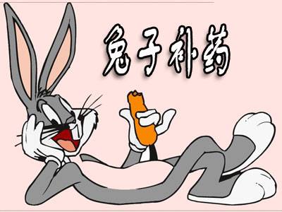 兔子补药