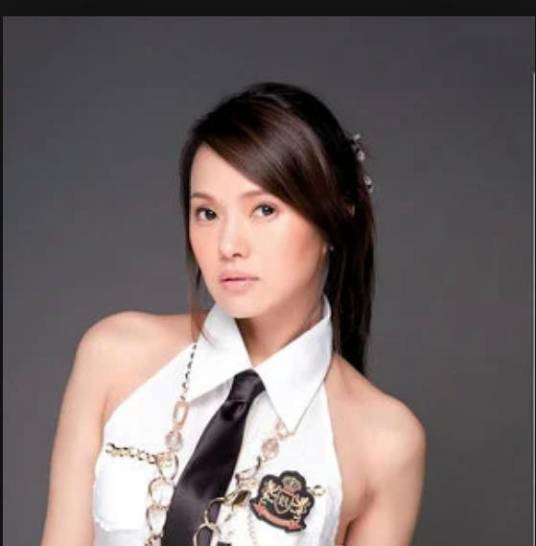 你对我的好（伊能静演唱的歌曲）