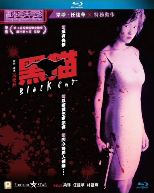 黑猫（1991年冼杞然、郑兆强执导的动作电影）