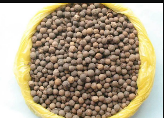 南烛子（中药材）