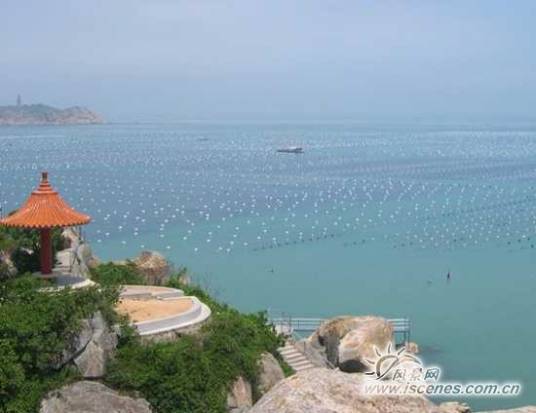 金银岛(提供大宗产品交易服务的公司)