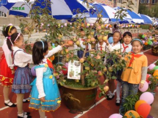 生态校园（人工生态系统）