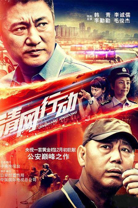 清网行动（2014年韩青、李成儒主演电视剧）