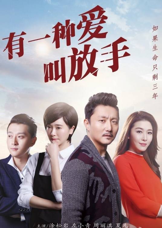 有一种爱叫放手（2015年程樯执导的电视剧）