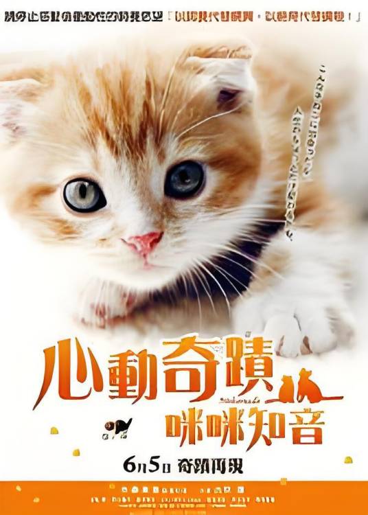 心动奇迹（日本动画电影）