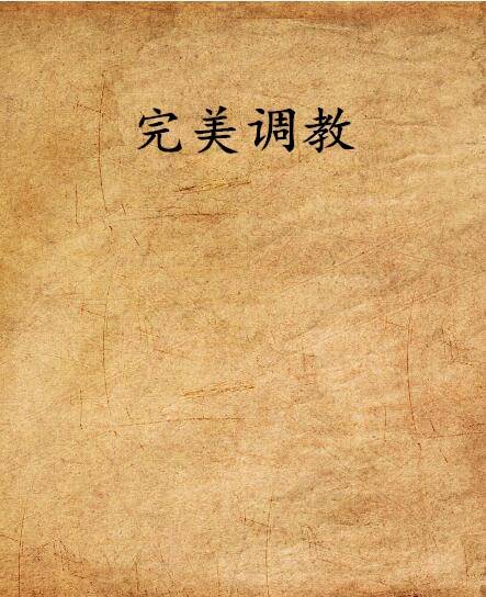 完美调教