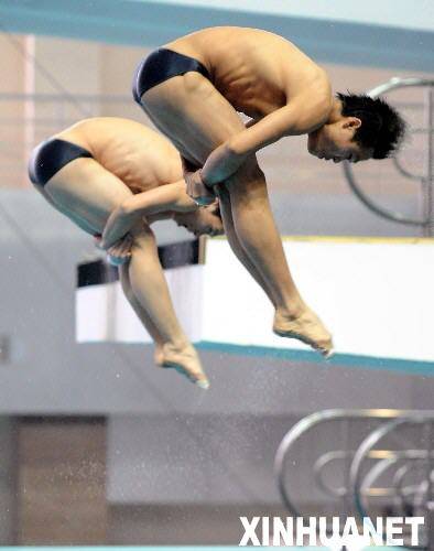 双人跳水（两名运动员同时从跳台起跳完成跳水动作）