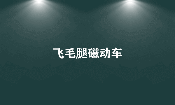飞毛腿磁动车