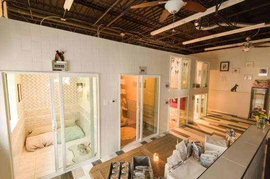 宠物旅馆(为宠物提供寄养服务的场所)