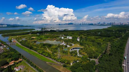 福田红树林生态公园