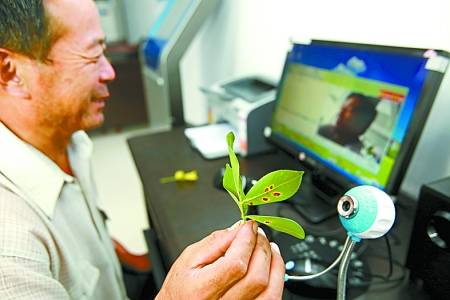 农业农村工作知识（农学领域术语）