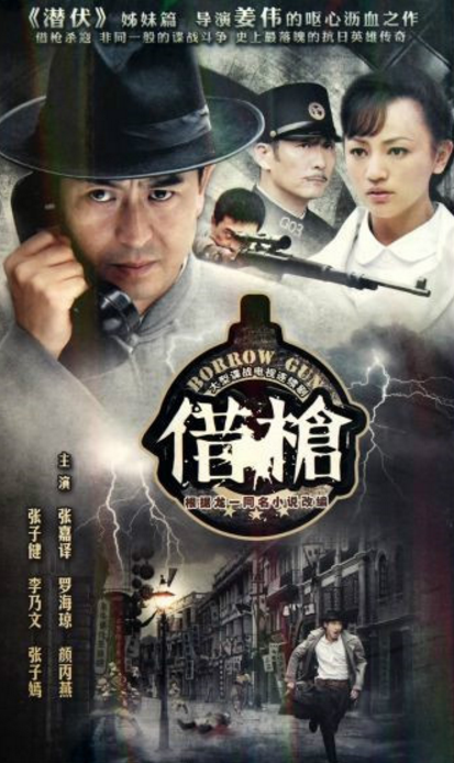 借枪（2011年张嘉益主演电视剧）