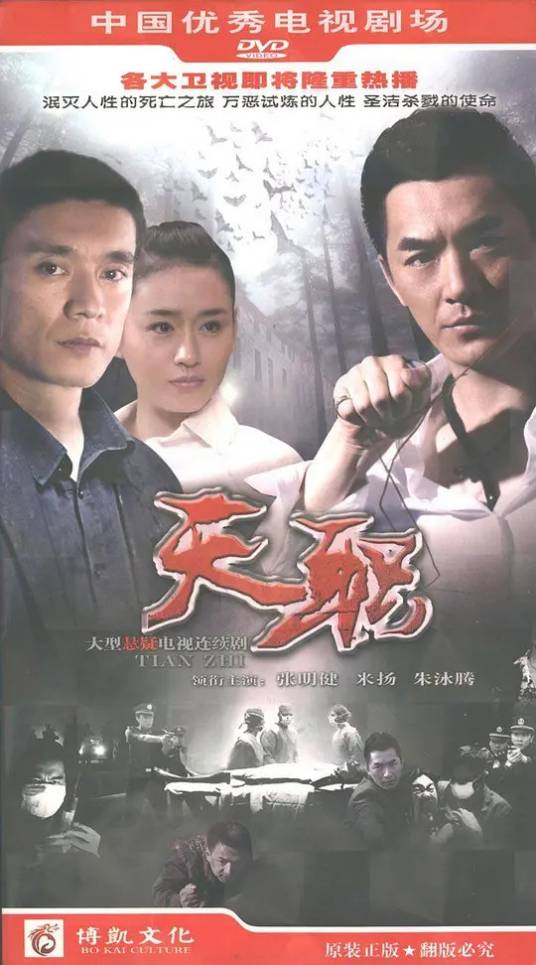 天职（2009年石明华执导电视剧）
