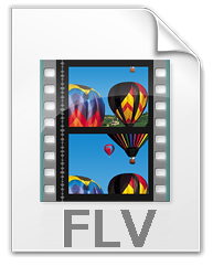 flv（FLASH VIDEO的简称）