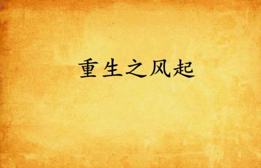 重生之风起