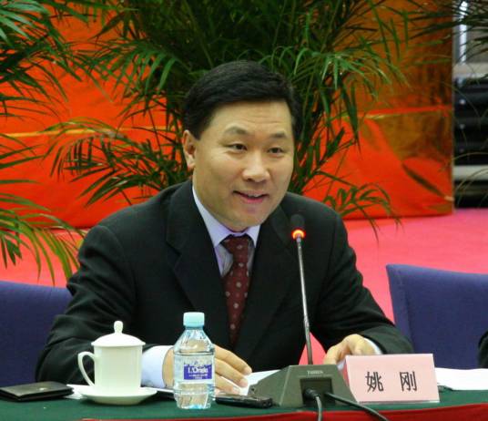 姚刚（中国证券监督管理委员会原副主席）