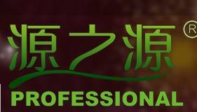 源之源