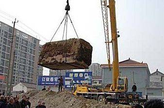 泰州明代古墓女尸