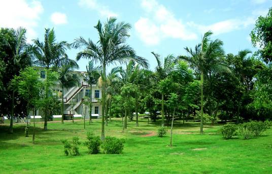 湛江南亚热带植物园