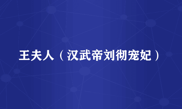 王夫人（汉武帝刘彻宠妃）