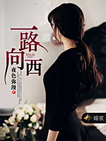 一路向西（夜色弥漫创作的爱情类网络小说）