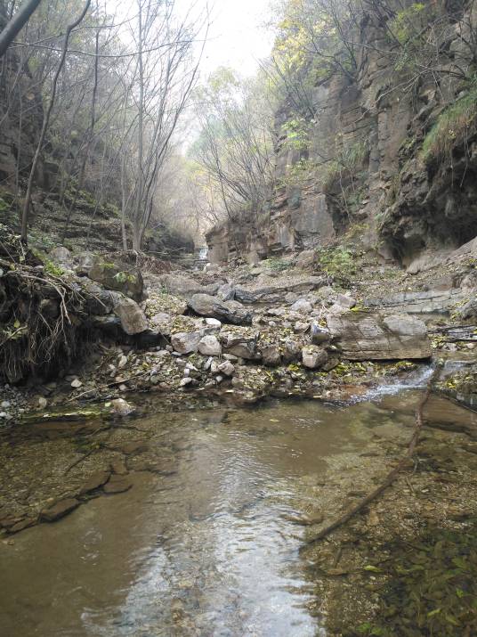 千佛山森林公园